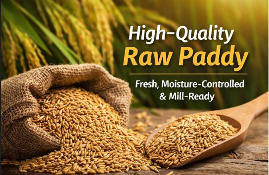 Signature Mediterranean Dish